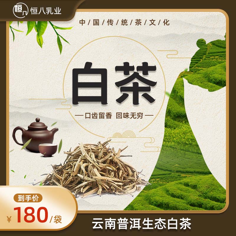 云南普洱生態(tài)白茶 100克