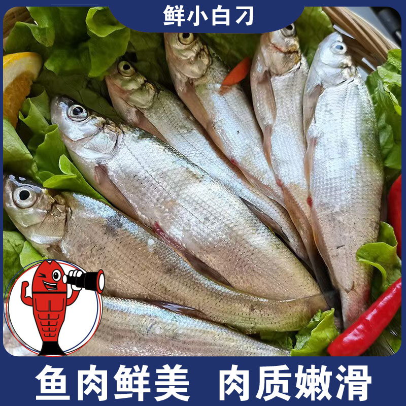 鲜小白刁